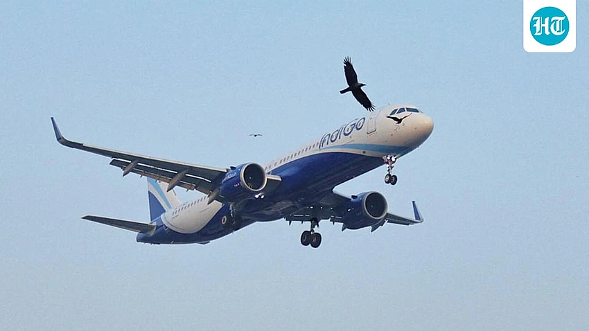 DGCA Tables IndiGo Report as Govt Signals 'Exemplary' Action