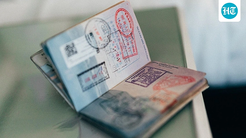 Delhi Welcomes China's Online Visa System for Indian Applicants