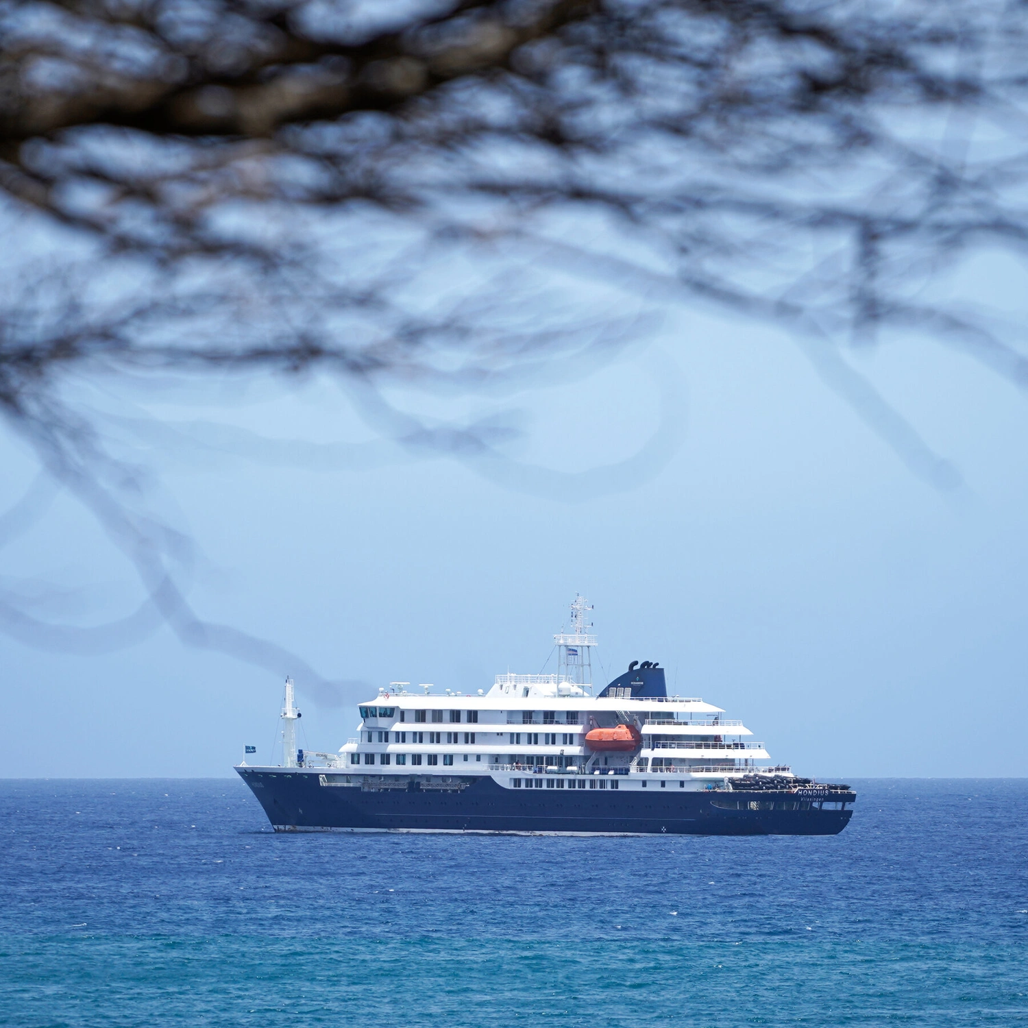 Hantavirus on Hondius: Seven Cases Aboard Off Cape Verde