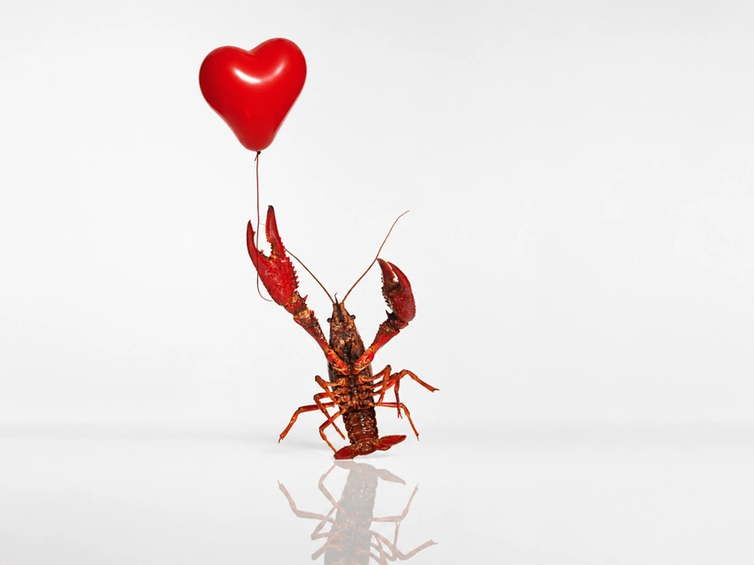 Dating's Next Frontier: Is AI Your New Wingman or a Risky Game?