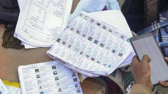 Goa CM to Seek Extension on Appeals Against Voter Deletions
