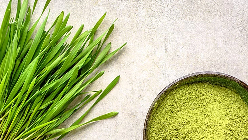 The Ultimate Guide to Barley Grass Powder: Benefits, Uses, and Recipes