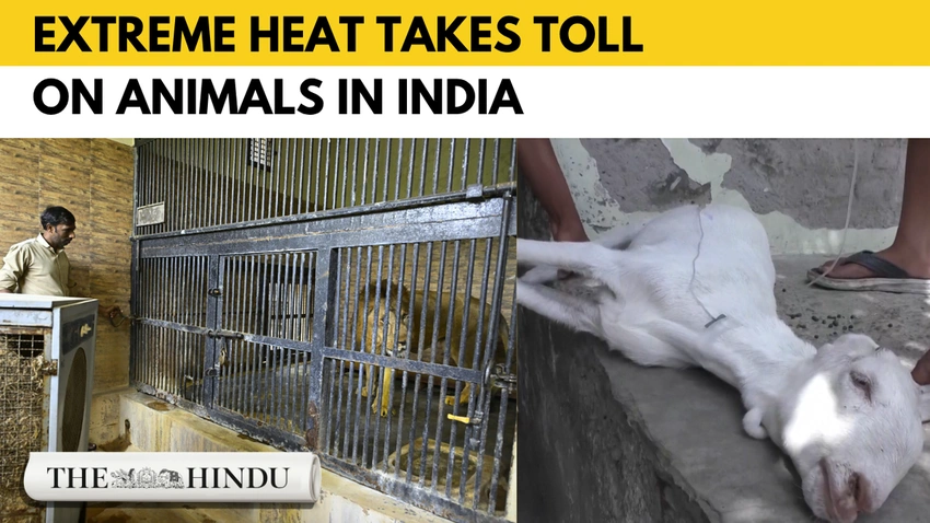 India Sizzles: Severe Heatwave Alerts Issued as Temperatures Soar