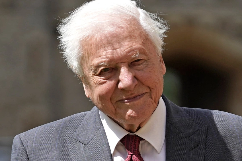 Attenborough recalls killing a caiman while filming ahead of 100th birthday