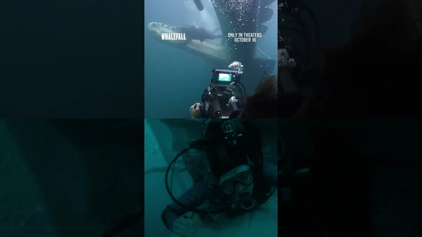 "Whalefall" Teaser Drops! Austin's Next Big Adventure Awaits 🫩