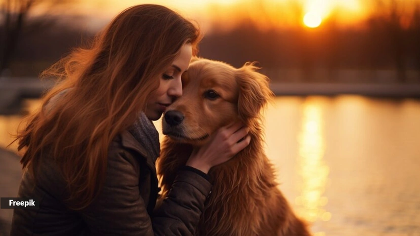 Is 'Golden Retriever Energy' The Secret To A Happy Partnership?