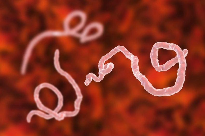 Ebola outbreak kills 65 in DR Congo as regional health chiefs race to respond