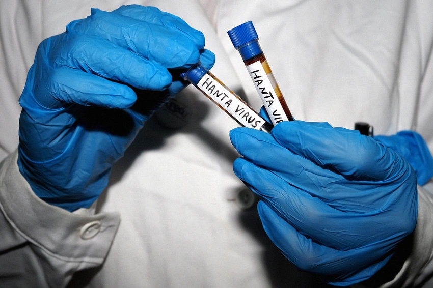 Hantavirus on Cruise Ships: Well-Handled Yet Dangerous Days Ahead