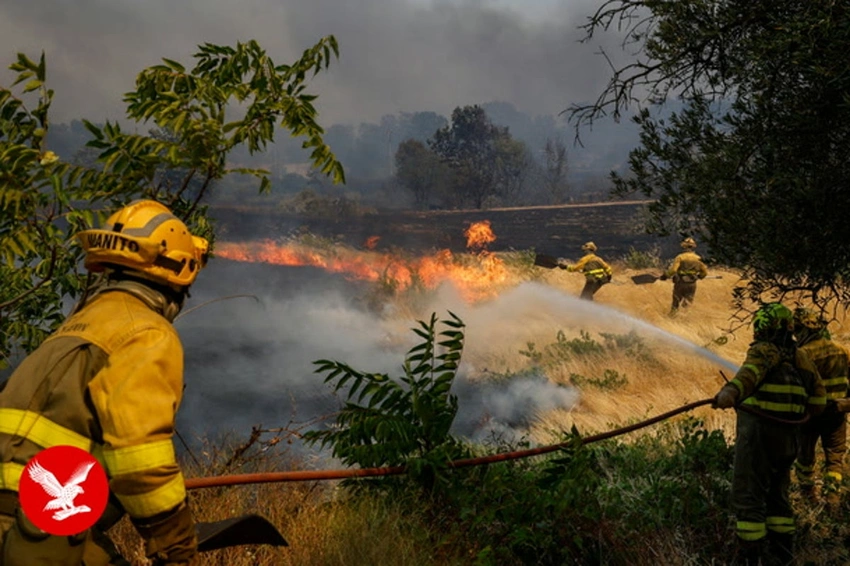 Spain Wildfires: Tens of Thousands Flee as Blazes Ravage Madrid Region