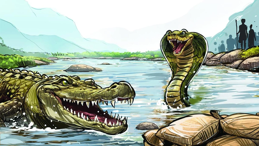 India weighs reptiles on border: snakes and crocodiles to deter crossings