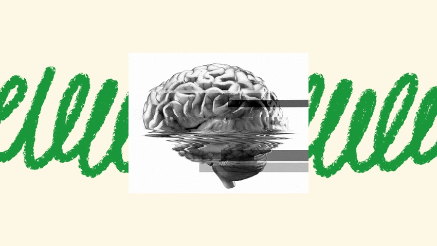 Why Learn Anything? The AI Paradox and Your Mind's Future