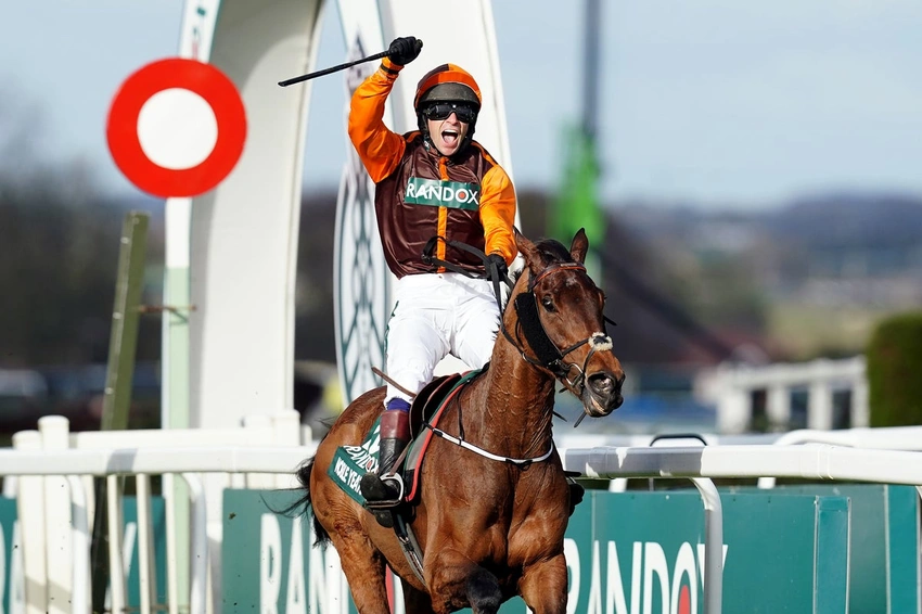 Grand National winner Noble Yeats dies at 11 after colic