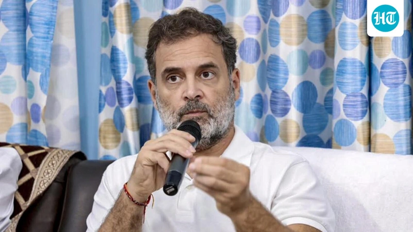 SC to Rahul Gandhi Defamation Complainant: 'Everyone's Equal Before Us'