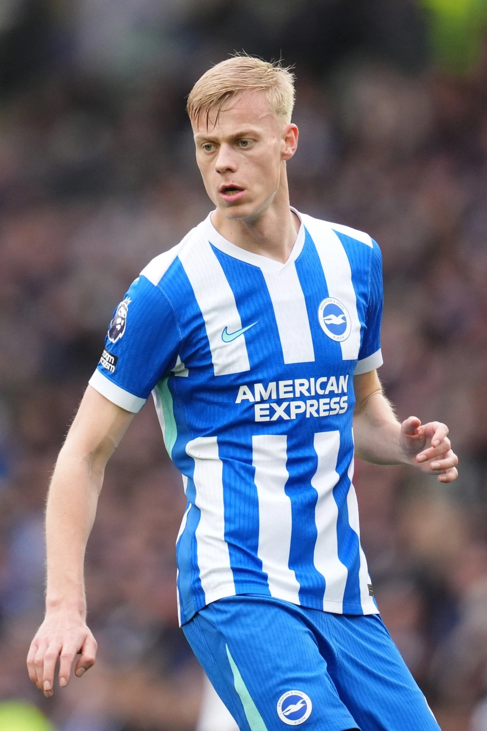Spurs Land £52M Van Hecke! Brighton Defender Joins Tottenham in Major Move