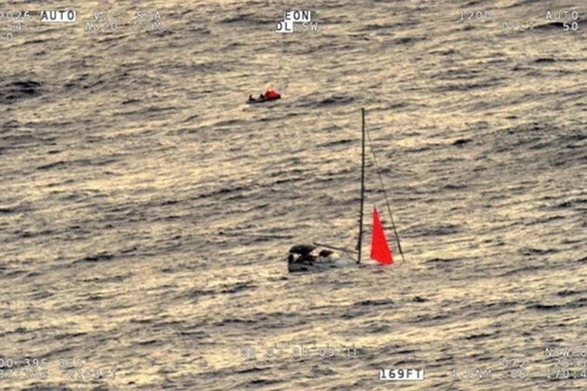Whale of a Tale! Sperm Whales Sink Yacht in South Pacific, Crew Rescued