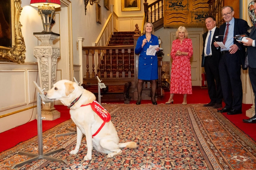 Queen Camilla Opens Clarence House to Cancer-Detection Dogs' Second Home