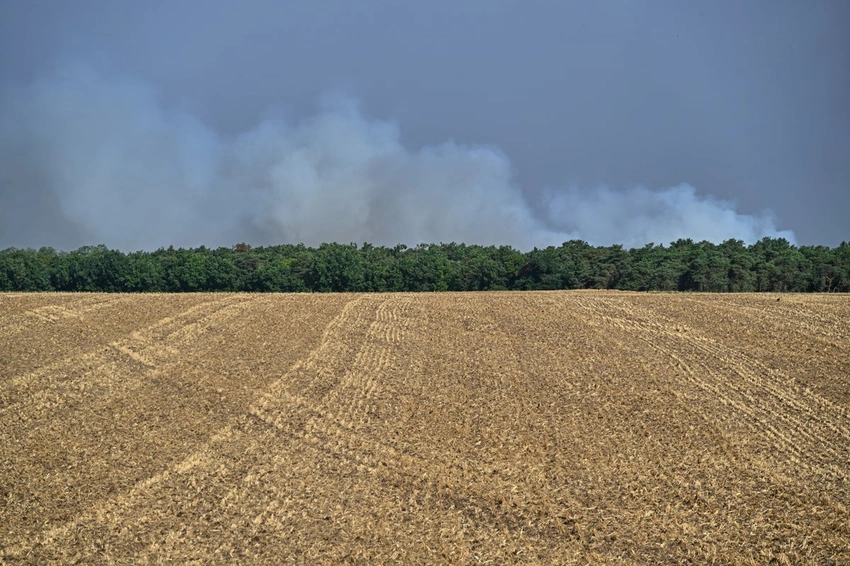 Massive Wildfire Rages Near Paris: Fontainebleau Forest Ablaze!