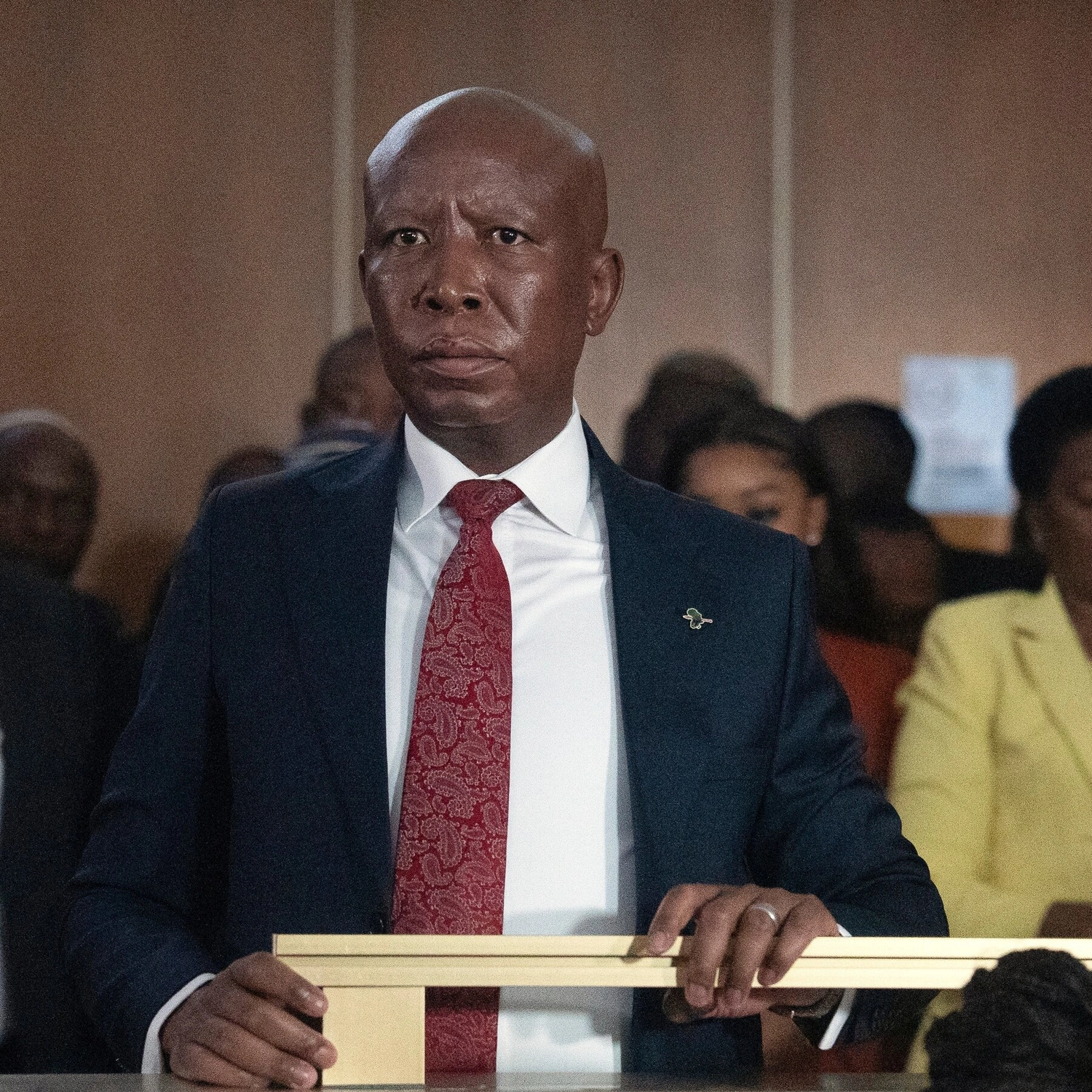 Malema handed five-year prison term for firing rifle at rally