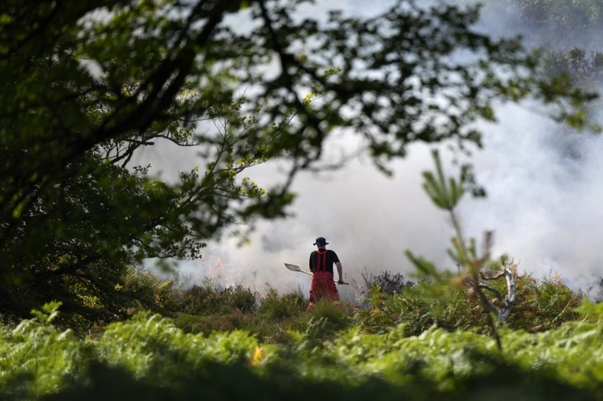New Forest Blaze Contained, A31 Closed: Firefighters Battle Third Day