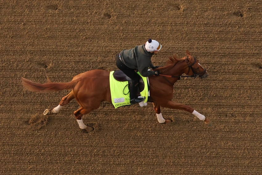 Wide-Open Derby: 20 Horses Chase Victory After Favorite Scratched