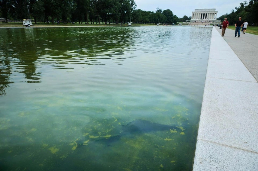 Olympian David Hearn Indicted: Reflecting Pool Vandalism Could Mean 10 Years!