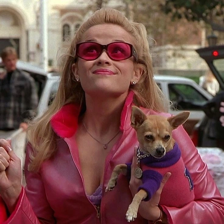 Elle Woods glitter pen Bruiser