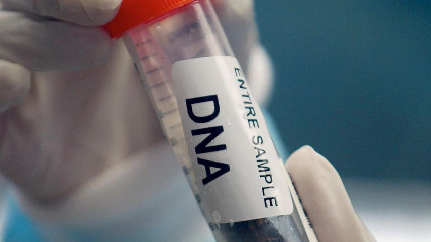 AI Creates Novel Viruses! Hope for Medicine, Fears for Safety?