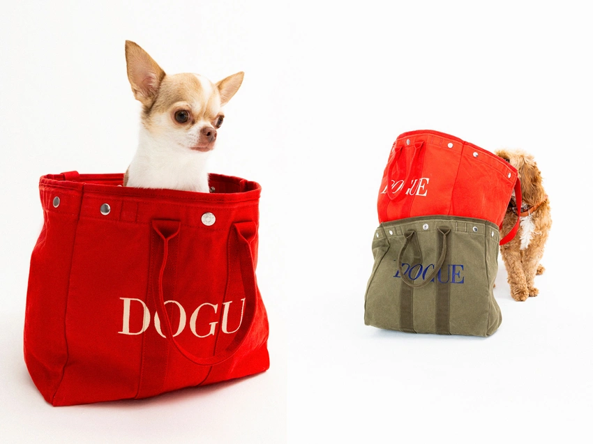 Your Dog's Closet Just Got an Upgrade: Welcome to the 'Dogue' Era!