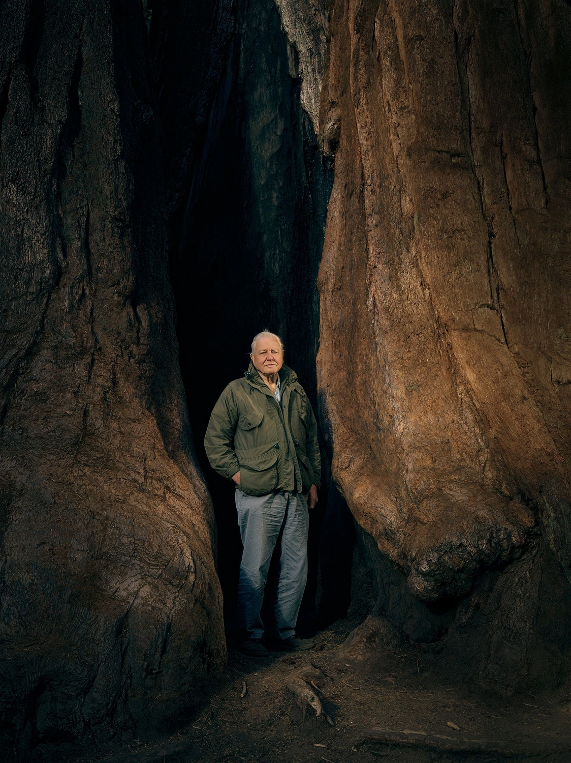 King and Queen Lead Tributes as Sir David Attenborough Turns 100