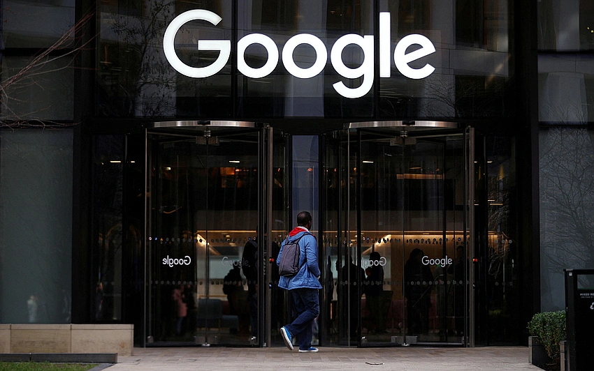 Google Staff in New York Struggle with Real Bugs — Not the Tech Kind