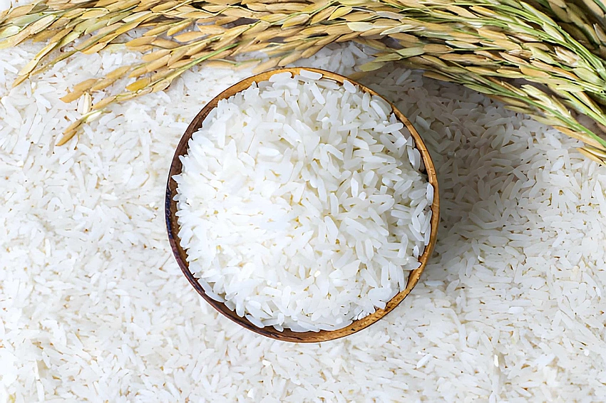 🌿 Beyond Whey: 7 Underrated Health Benefits of Switching to Pure Rice Protein Powder