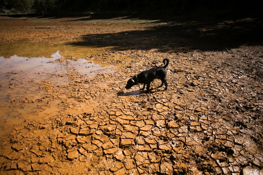 UK Warned: Stock Up! Biggest El Niño in 1,000 Years Looms