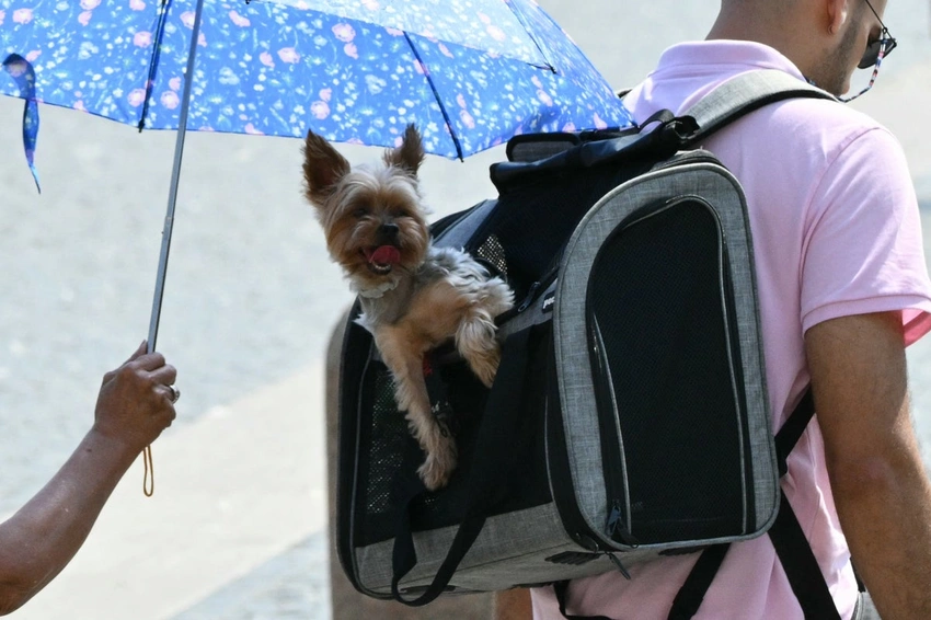 London Braces for 33C Heatwave: Amber Health Alert Issued!