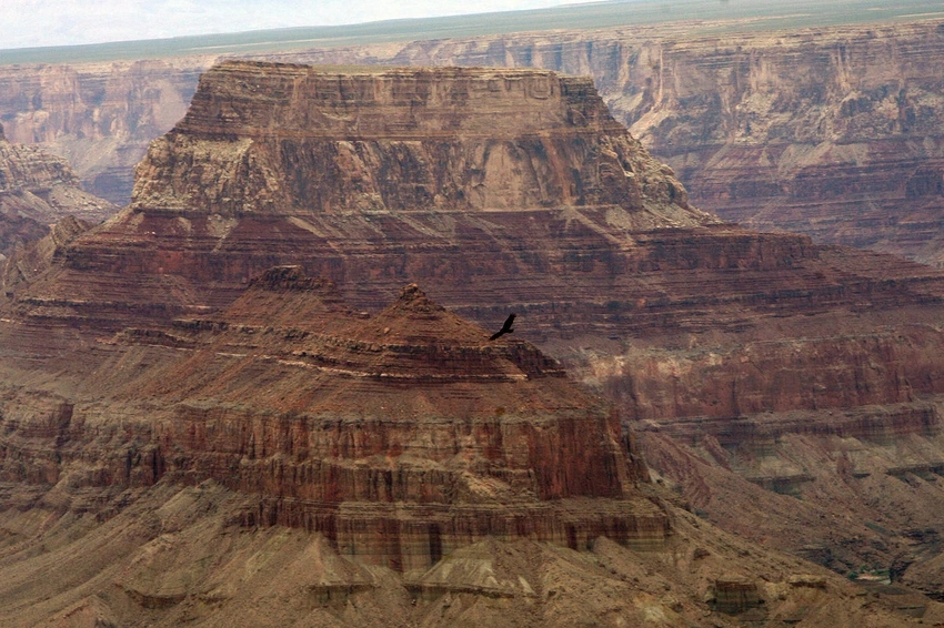 Grand Canyon Tragedy: 3 Hikers Die in Extreme Heatwave ☀️