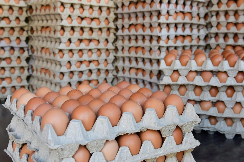 FDA Elevates Egg Recall to 'Most Urgent' Due to Fatal Salmonella Threat