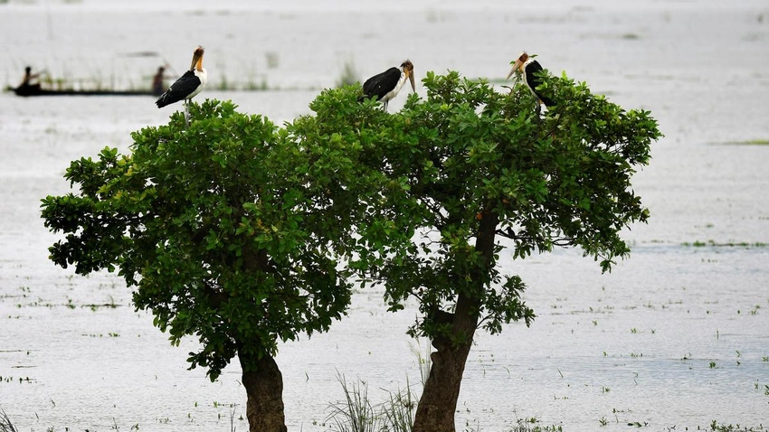 Assam on High Alert as Flash Floods Hit Arunachal Pradesh!