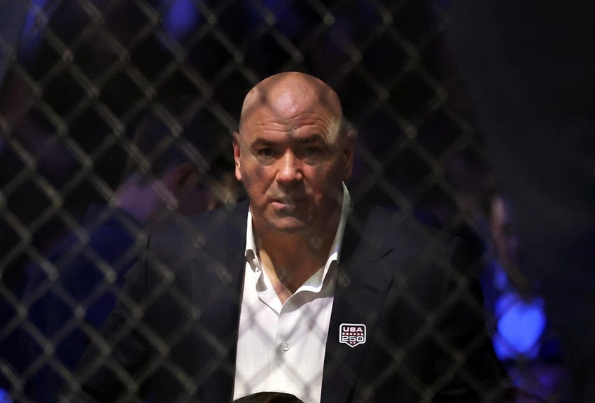 AI vs. Heart: Do UFC Meta Rankings Miss the Point?