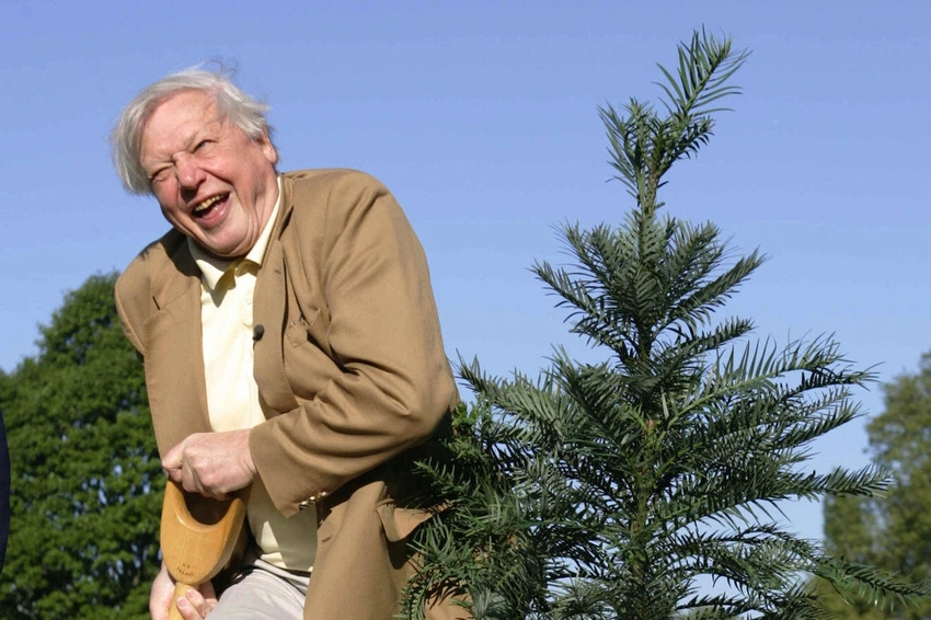 Sir David Attenborough Turns 100: A Lifetime of Wonders and Milestones