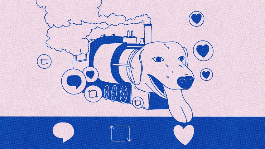 “Train Dog” Mania: Unpacking Our Obsession with Absurd Internet Memes