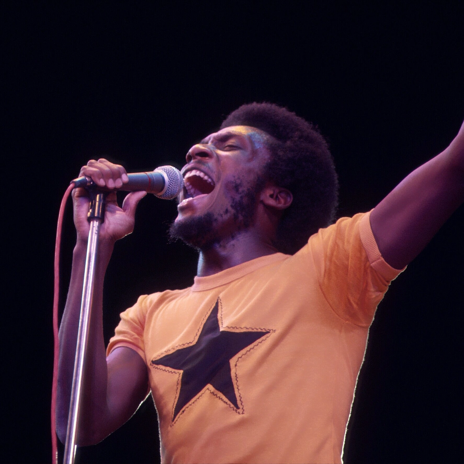 Reggae Icon Jimmy Cliff Dies at 81, A Global Music Pioneer