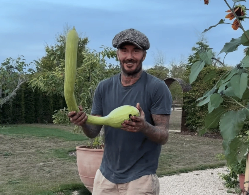 Beckham's Bizarre Pumpkin: Victoria "Bemused" by Homegrown Veg!