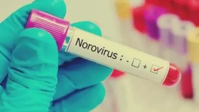 Bordeaux cruise ship isolated after suspected norovirus death