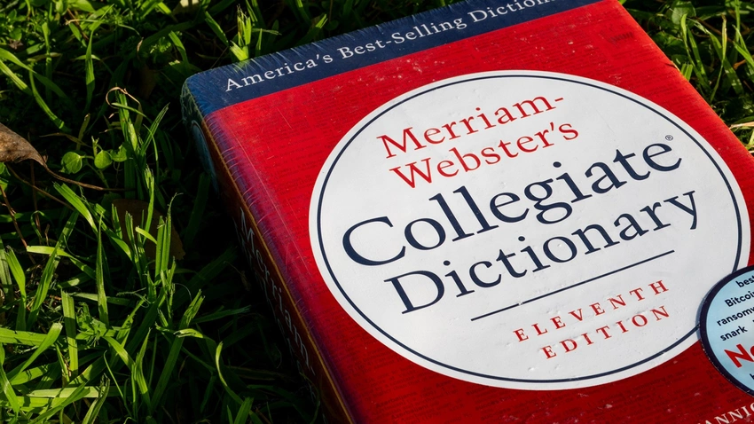 From 'Looksmaxxing' to 'Vibe Coding': Your Dictionary Just Got a Glow-Up
