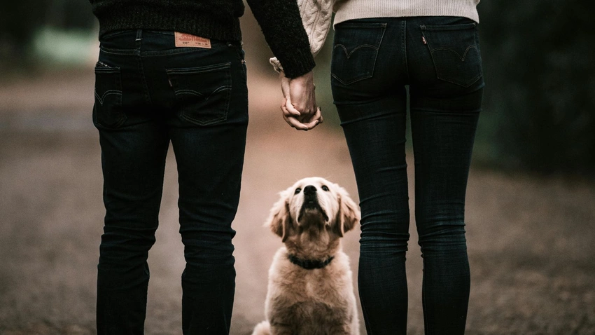 Stop Borrowing Your Friend's Golden Retriever: Is Petfishing the New Dating Red Flag?