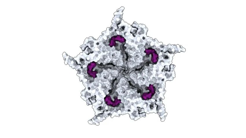 AI Creates 16 New Viruses from Scratch: A Biotech Breakthrough Sparks Alarm!