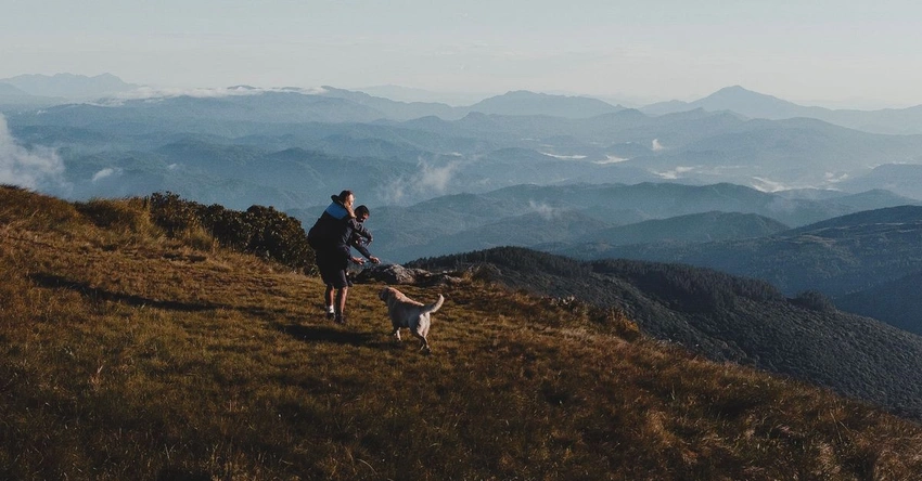 happy couple dog hiking Pexels