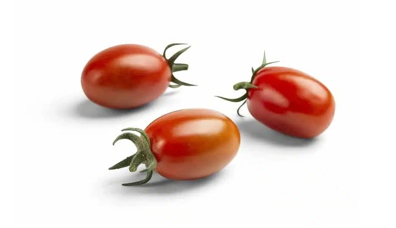 Mini-Plum Tomato Varieties Compared: Breedx vs. Leading Specialty Tomato Competitors