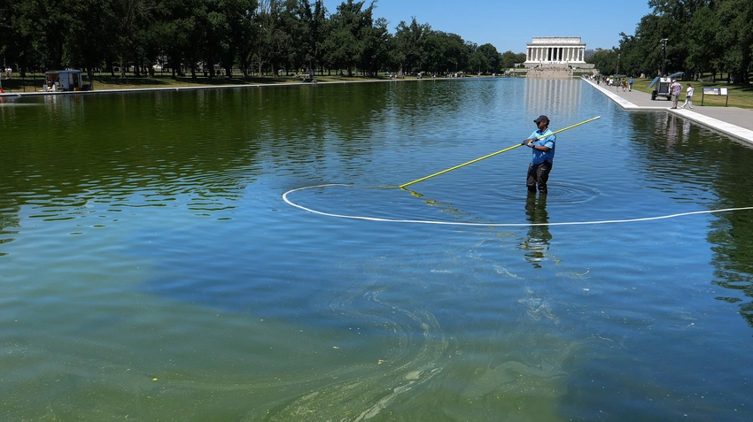 Reflecting Pool Turns Green: Vandalism Claims vs. Missing 'Bubblers'