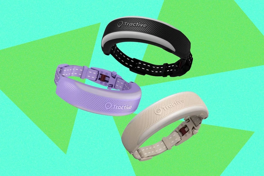 Fitbit for Felines: Brilliant or Baffling?
