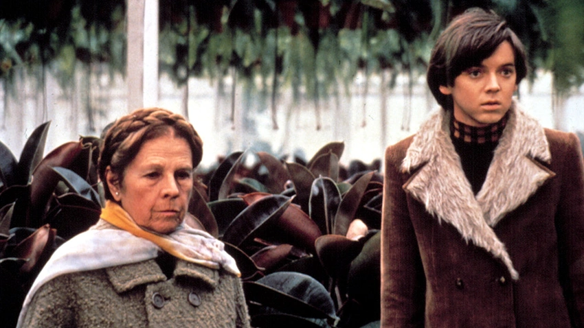 Bud Cort, Harold and Maude Star, Dies at 77